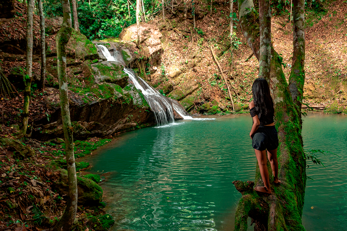 Oxapampa, Pozuzo, Villa Rica, Perené, Aventura y City Tour